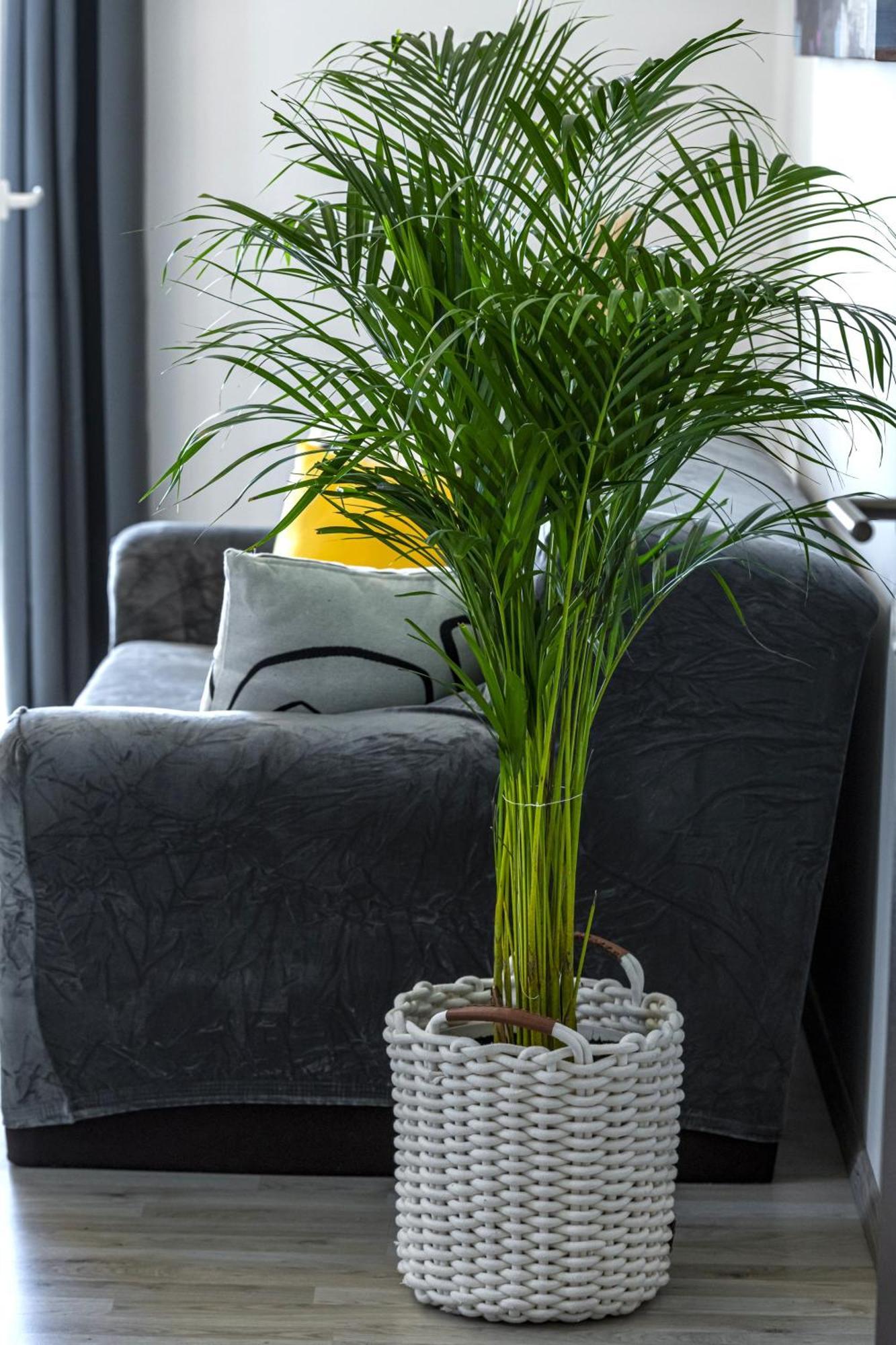 Apartments Lea ซัฟทัท ภายนอก รูปภาพ